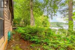 5278 KENNISIS LAKE ROAD | Haliburton Ontario | Slide Image Twenty-eight