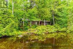 5278 KENNISIS LAKE ROAD | Haliburton Ontario | Slide Image Thirty-five