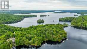 5278 KENNISIS LAKE ROAD | Haliburton Ontario | Slide Image Forty-two