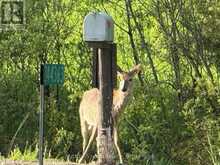 244363 22 SIDE ROAD | Owen Sound Ontario | Slide Image Thirty-nine