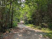 22 MILL ROAD | Parry Sound Ontario | Slide Image Twenty-three