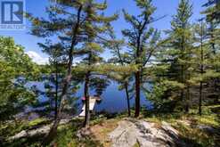 7 A60 ISLAND | Pointe au Baril Ontario | Slide Image Three