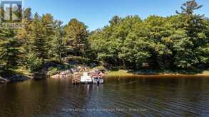 7 A60 ISLAND | Pointe au Baril Ontario | Slide Image Four