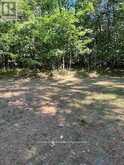 2875 COUNTY ROAD 21 ROAD | Minden Hills Ontario | Slide Image Eight