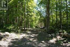 382488 CONCESSION 17 ROAD | Georgian Bluffs Ontario | Slide Image Forty-one