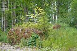 382488 CONCESSION 17 ROAD | Georgian Bluffs Ontario | Slide Image Forty-five