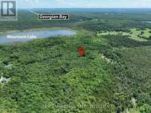 382488 CONCESSION 17 ROAD | Georgian Bluffs Ontario | Slide Image Four