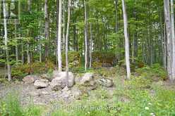 382488 CONCESSION 17 ROAD | Georgian Bluffs Ontario | Slide Image Forty-three