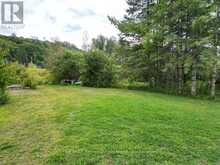 0 PARTS LOT 12, PLAN 1, ANSON STREET | Minden Hills Ontario | Slide Image Thirteen