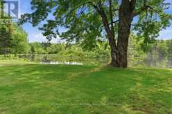 49 MAPLE STREET | Rosseau Ontario | Slide Image Eight