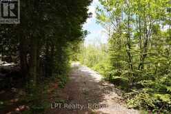 454 HIGHWAY 6 | Georgian Bluffs Ontario | Slide Image Forty