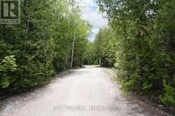454 HIGHWAY 6 | Georgian Bluffs Ontario | Slide Image Seven