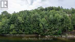 27 WA LOON BAY | Carling Ontario | Slide Image Eight