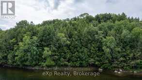 27 WA LOON BAY | Carling Ontario | Slide Image Nine