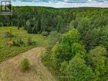 2 MAPLE ISLAND ROAD | Whitestone Ontario | Slide Image Thirty-one