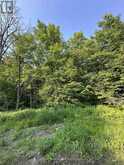 50 ROSE BUSH LANE | Emsdale Ontario | Slide Image Nine