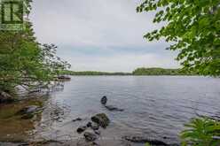 1283 WONDERLAND ROAD | Haliburton Ontario | Slide Image Two