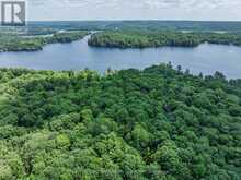 1283 WONDERLAND ROAD | Haliburton Ontario | Slide Image Forty-eight