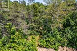 LOT 71 WHISPERING PINE CIRCLE | Tiny Ontario | Slide Image Seven