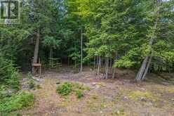 2698 OLD MUSKOKA ROAD | Huntsville Ontario | Slide Image Thirty-two