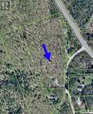 1028 RONVILLE ROAD | Dwight Ontario | Slide Image Twenty-three