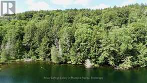 0 ISLAND LAKE WAO ISLAND | Kearney Ontario | Slide Image Nine