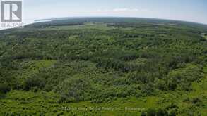151 BARTLEY DRIVE | Lion's Head Ontario | Slide Image Thirty