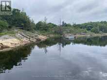 1 B244 (CONGER) ISLAND | Seguin Ontario | Slide Image Thirty-two