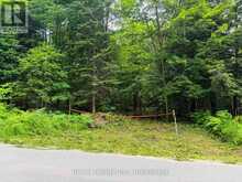 LOT 1 BIRD LAKE ROAD | Bracebridge Ontario | Slide Image Two