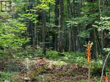 LOT 1 BIRD LAKE ROAD | Bracebridge Ontario | Slide Image Three