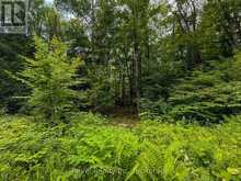 LOT 1 BIRD LAKE ROAD | Bracebridge Ontario | Slide Image Four