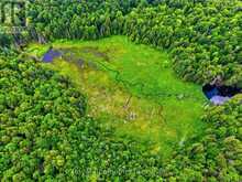 LOT 1 BIRD LAKE ROAD | Bracebridge Ontario | Slide Image Six