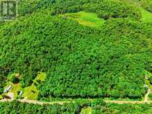 LOT 1 BIRD LAKE ROAD | Bracebridge Ontario | Slide Image Eight