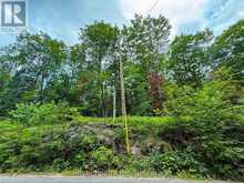 LOT 2 BIRD LAKE ROAD | Bracebridge Ontario | Slide Image Ten