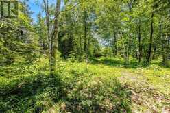 88 SMALLMAN DRIVE | Wasaga Beach Ontario | Slide Image Eight