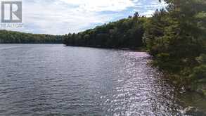 2245 AHMIC LAKE ROAD | Magnetawan Ontario | Slide Image Forty-one