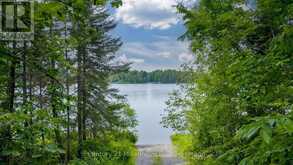 0 WHALLEY LAKE ROAD | Magnetawan Ontario | Slide Image Twelve