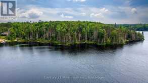0 WHALLEY LAKE ROAD | Magnetawan Ontario | Slide Image Six