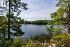 509 HORSESHOE LAKE WA (BEAR LANE) | Seguin Ontario | Slide Image Six