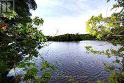 509 HORSESHOE LAKE WA (BEAR LANE) | Seguin Ontario | Slide Image Seven
