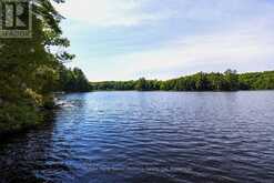 509 HORSESHOE LAKE WA (BEAR LANE) | Seguin Ontario | Slide Image Thirty-nine