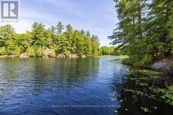 509 HORSESHOE LAKE WA (BEAR LANE) | Seguin Ontario | Slide Image Forty-one