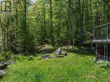 1123 DARDANELLES ROAD | Haliburton Ontario | Slide Image Forty-three