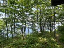 422 DUCK LAKE | Parry Sound Ontario | Slide Image Thirty-one