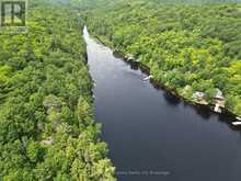 422 DUCK LAKE | Parry Sound Ontario | Slide Image Forty-seven