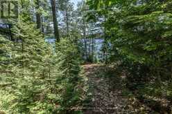 19687 KAWAGAMA NORTH SHORE | Lake of Bays Ontario | Slide Image Twenty-four