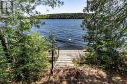 19687 KAWAGAMA NORTH SHORE | Lake of Bays Ontario | Slide Image Twenty-seven