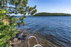 19687 KAWAGAMA NORTH SHORE | Lake of Bays Ontario | Slide Image Twenty-eight