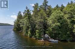 19687 KAWAGAMA NORTH SHORE | Lake of Bays Ontario | Slide Image Thirty