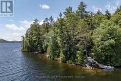 19687 KAWAGAMA NORTH SHORE | Lake of Bays Ontario | Slide Image Thirty-one